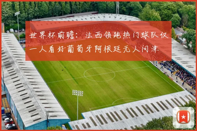 世界杯前瞻：法西领跑热门球队仅一人看好葡萄牙阿根廷无人问津